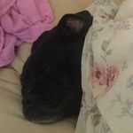 Tracy Kite - @kite5339 - Instagram
