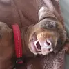 tracey.knott61 - @tracey.knott61 - TikTok