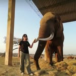 Tracy Knott - @tracy.knott.71 - Instagram