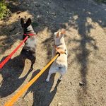Tracy Mullis Kraft - @tracykraft - Instagram