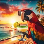 Tracy Rohwer Krum - @tracykrum - Instagram