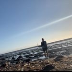 Tracy Kuper - @tkuper - Instagram