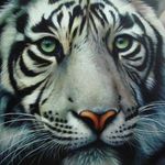 Tracy Kyle - @tigerlynn71 - Instagram