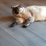 Tracy Laberge - @lindsey__987 - Instagram