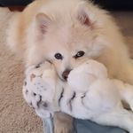 Tracy Lackey Hoke - @hoketracy - Instagram