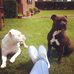 Tracey Lake - Facebook