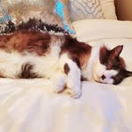 Tracy Lammers Gustin - @tracygustin - Instagram