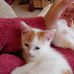 Tracy Lampitt - Facebook