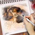 Tracy Langford - @hippychick1965 - Instagram