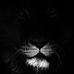 Tracy Langford - Facebook