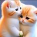 Tracy Langford - Facebook