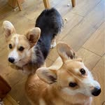 Tracy Langford - @tracy.langford.12 - Instagram
