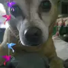 tracylangford21 - @tracylangford21 - TikTok