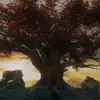 tracylangford56 - @tracylangford56 - TikTok