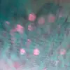 tracyolarge0 - @sparkle2345768 - TikTok