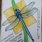 Tracy Larson - @tracy.larson.mde - Instagram