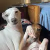 Tracy McLaughlin - @tracy.mclaughlin17 - TikTok