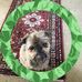 Tracy McLaughlin - Facebook