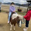 TracyMclaughlin - @tracymclaughlinzijaxh - TikTok