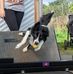 Tracy Layfield - Facebook