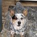 Tracy Layfield - Facebook