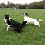 Tracy Layfield - @tracylayfield - Instagram