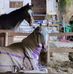 Tracy Layton - Facebook