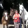 Tracy Layton - @tracy.layton1 - TikTok