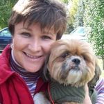 Tracy Leavy - @leavytracy - Instagram