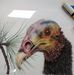 Tracy Ledbetter - Facebook
