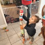 Traci Hale Lefebvre - @tracilefebvre - Instagram
