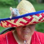 Tracy Lefebvre - @t_lefebvre_ - Instagram