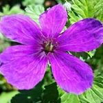 Tracy Hobson Lehmann - @_t_r_a_c_y - Instagram