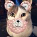 Tracy Leibfried - Facebook