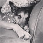 Tracy Lemke - @tllemke - Instagram