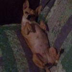 Tracy Dean - @tracy.lemons.56 - Instagram