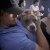 leroy.jenkins - @leo.tracy - TikTok