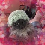 Tracy Lewinski - @tracylewinski - Instagram