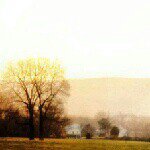 Tracy Lightner - @tracy_lightner88 - Instagram