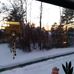 Tracey Lilja - Facebook