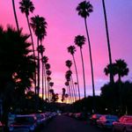 Tracey (Ty) Linderman :) - @ty.tcl - Instagram