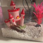 Bonquavius Tracy Lineberry Lopez Payne Michelsen - @bonquavius_the_fish - Instagram