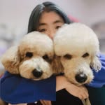 Tracy Lin - @tracylinn - Instagram