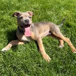 Tracy Linn Nelson - @tracylinnnelson - Instagram