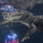 Tracy Litton Farr - @tracy_farr13 - Instagram
