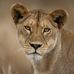 Tracy Loebsack - Facebook