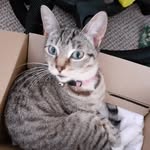 Tracy Logan - @tracylogan7600 - Instagram
