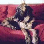 Tracy Longworth - @tracylongworth33 - Instagram