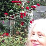 Tracy Lowry - @tracylowry3134 - Instagram