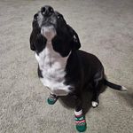 Tracy Lowry - @tracyklee64 - Instagram